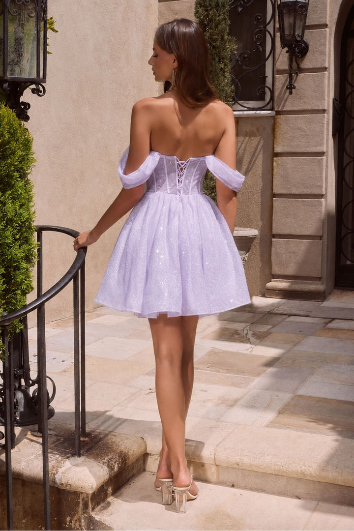 Fleur Crystal Corset Mini Dress — Lavander