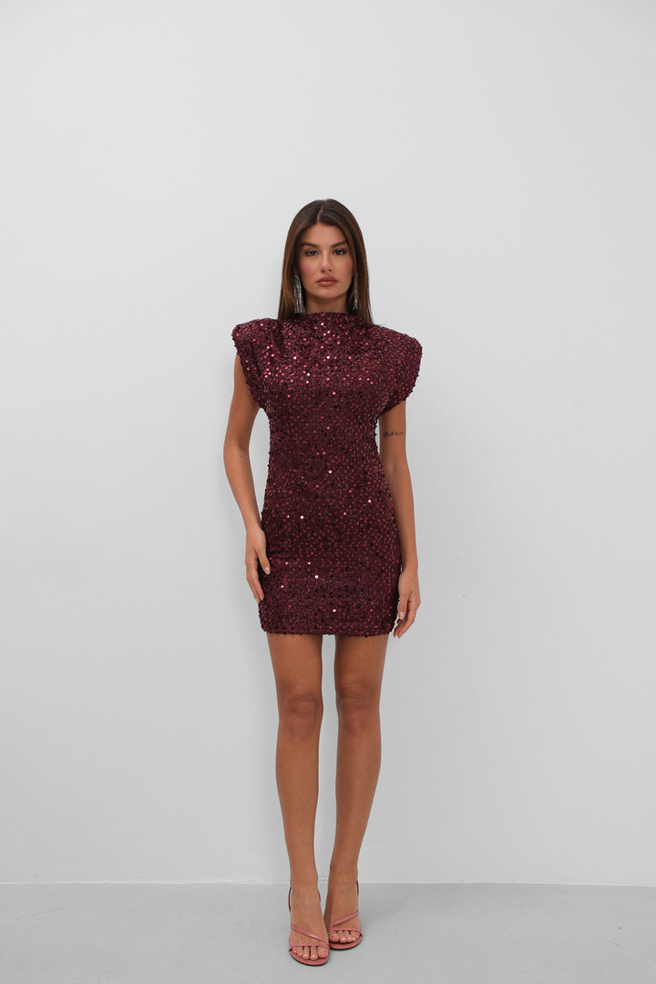 Celine Sequin Mini Dress - Burgundy