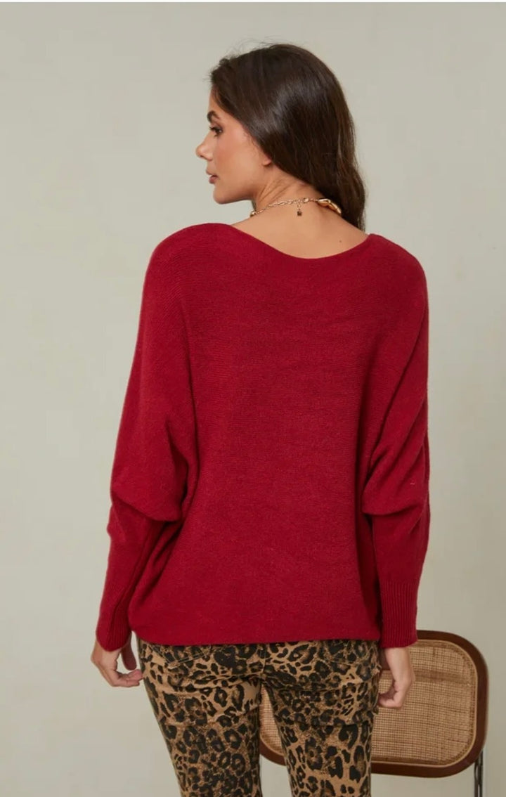 Woman wearing a red sweater and leopard print pants against a plain background