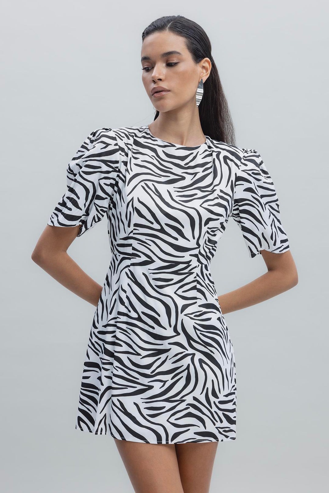 Satin Zebra Mini Dress